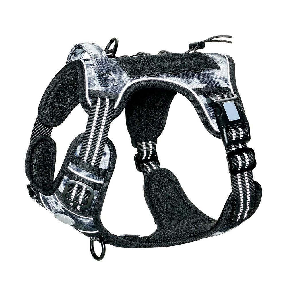 Harnais avec sangle poitrine et laisse pour chien