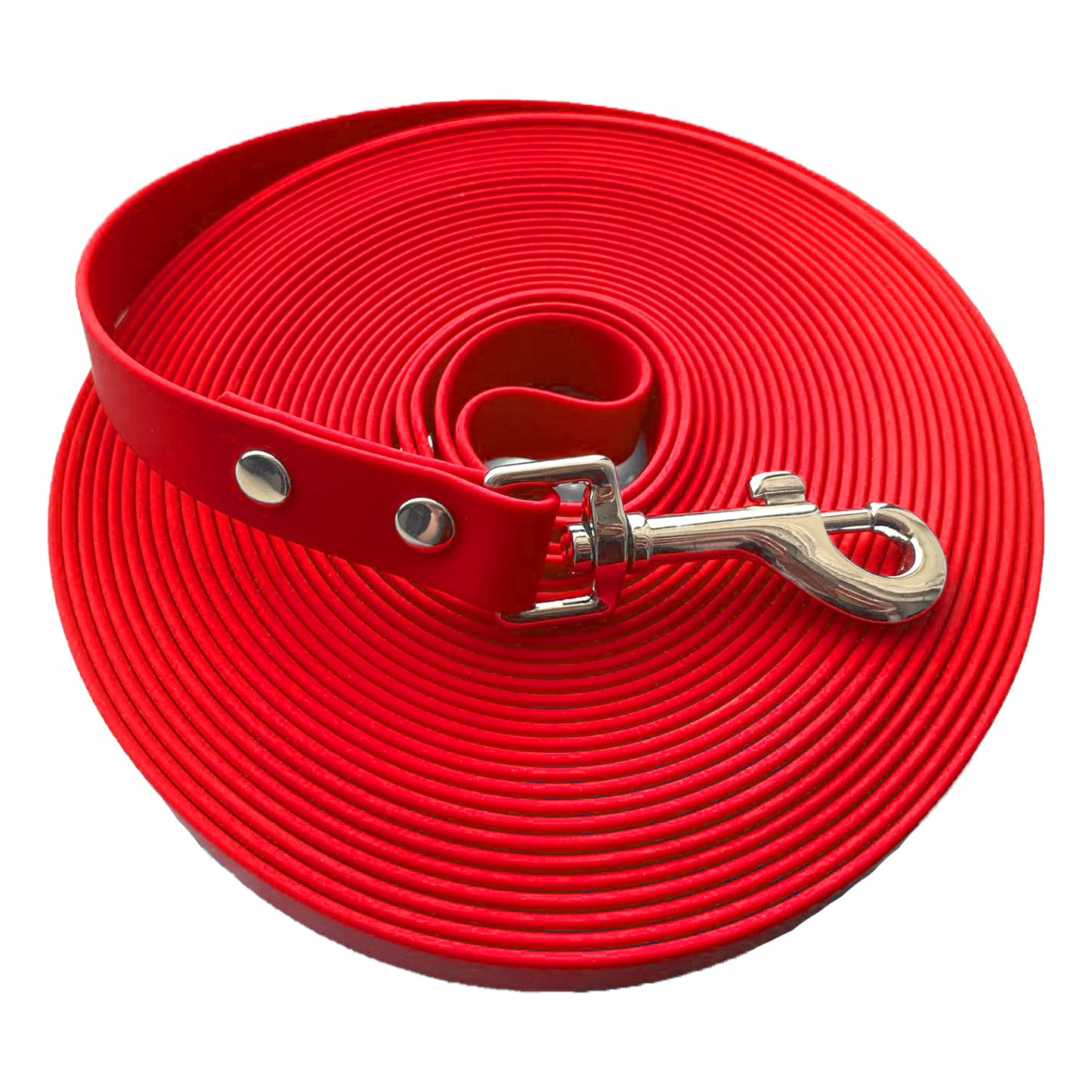 Laisse pour chien en sangle de nylon