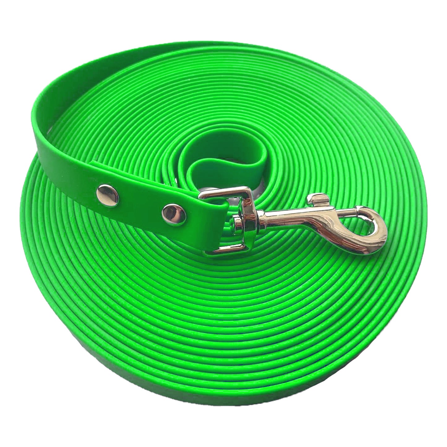 Laisse pour chien en sangle de nylon