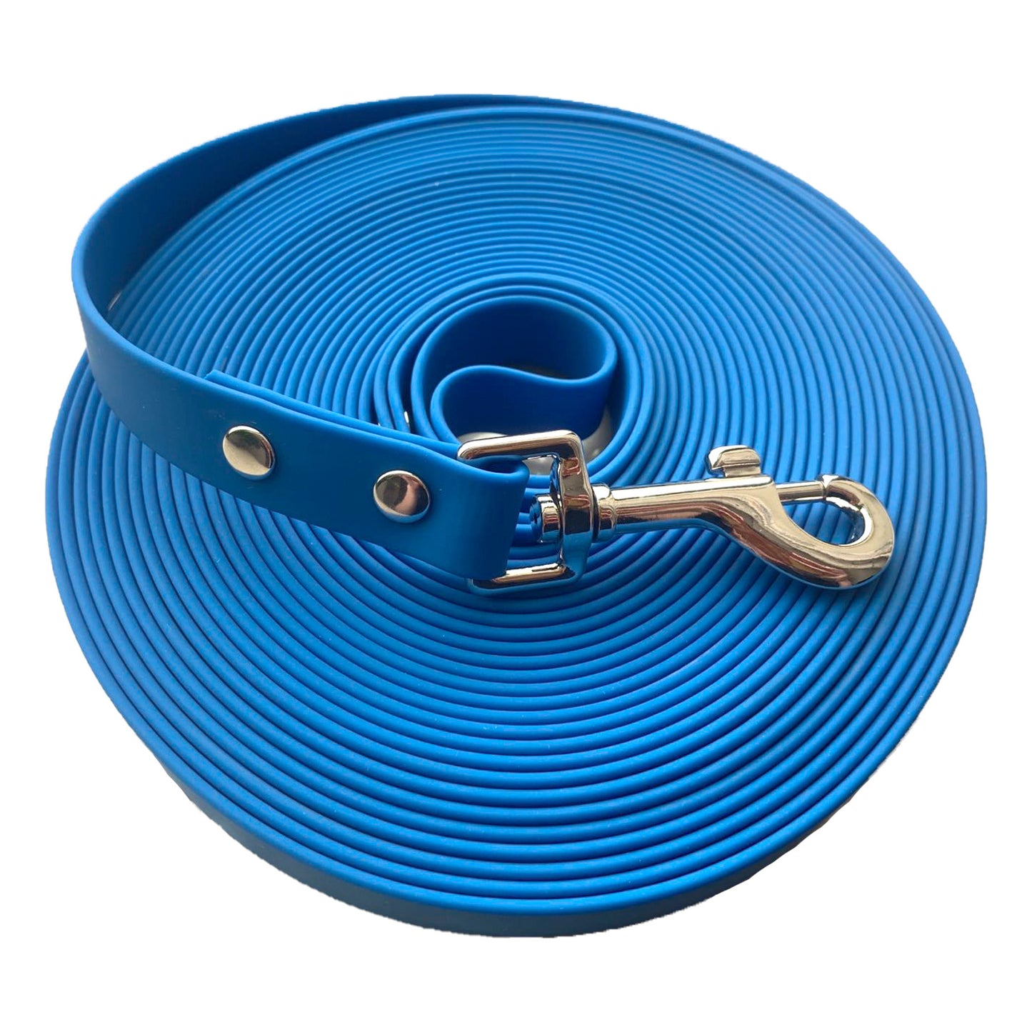 Laisse pour chien en sangle de nylon