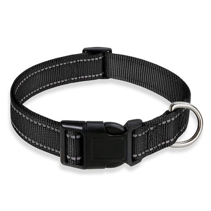 Collier réfléchissant pour animaux