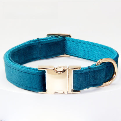 Collier et laisse pour chien