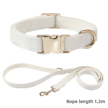 Collier et laisse pour chien