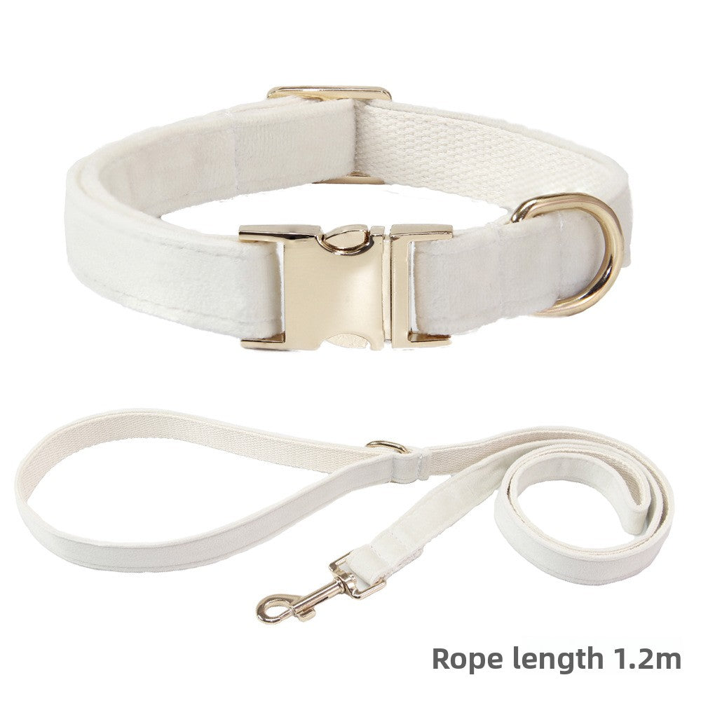 Collier et laisse pour chien