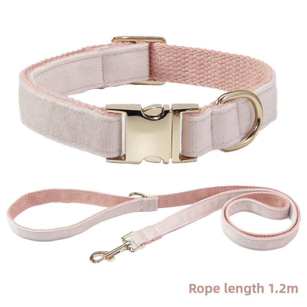 Collier et laisse pour chien
