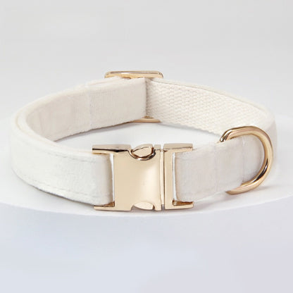 Collier et laisse pour chien