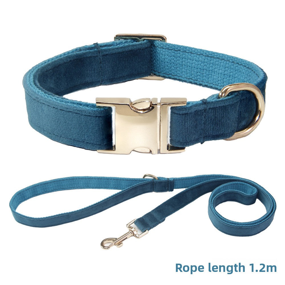 Collier et laisse pour chien