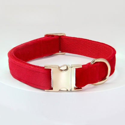 Collier et laisse pour chien