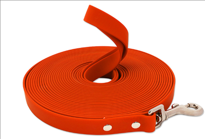 Laisse pour chien en sangle de nylon