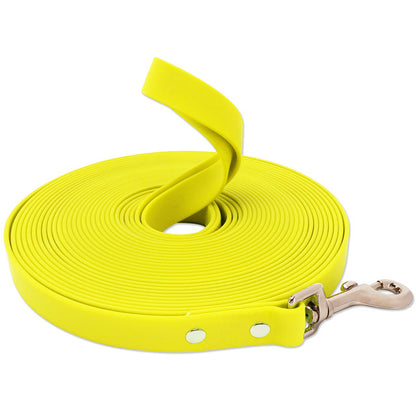 Laisse pour chien en sangle de nylon