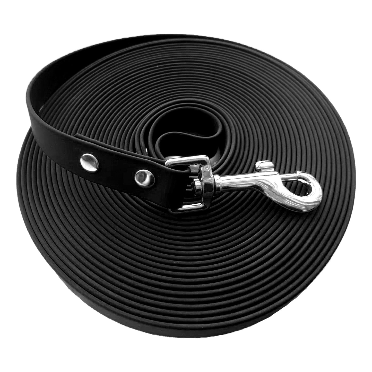Laisse pour chien en sangle de nylon