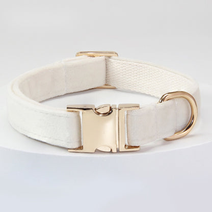 Corde de traction pour chiens moyens et grands