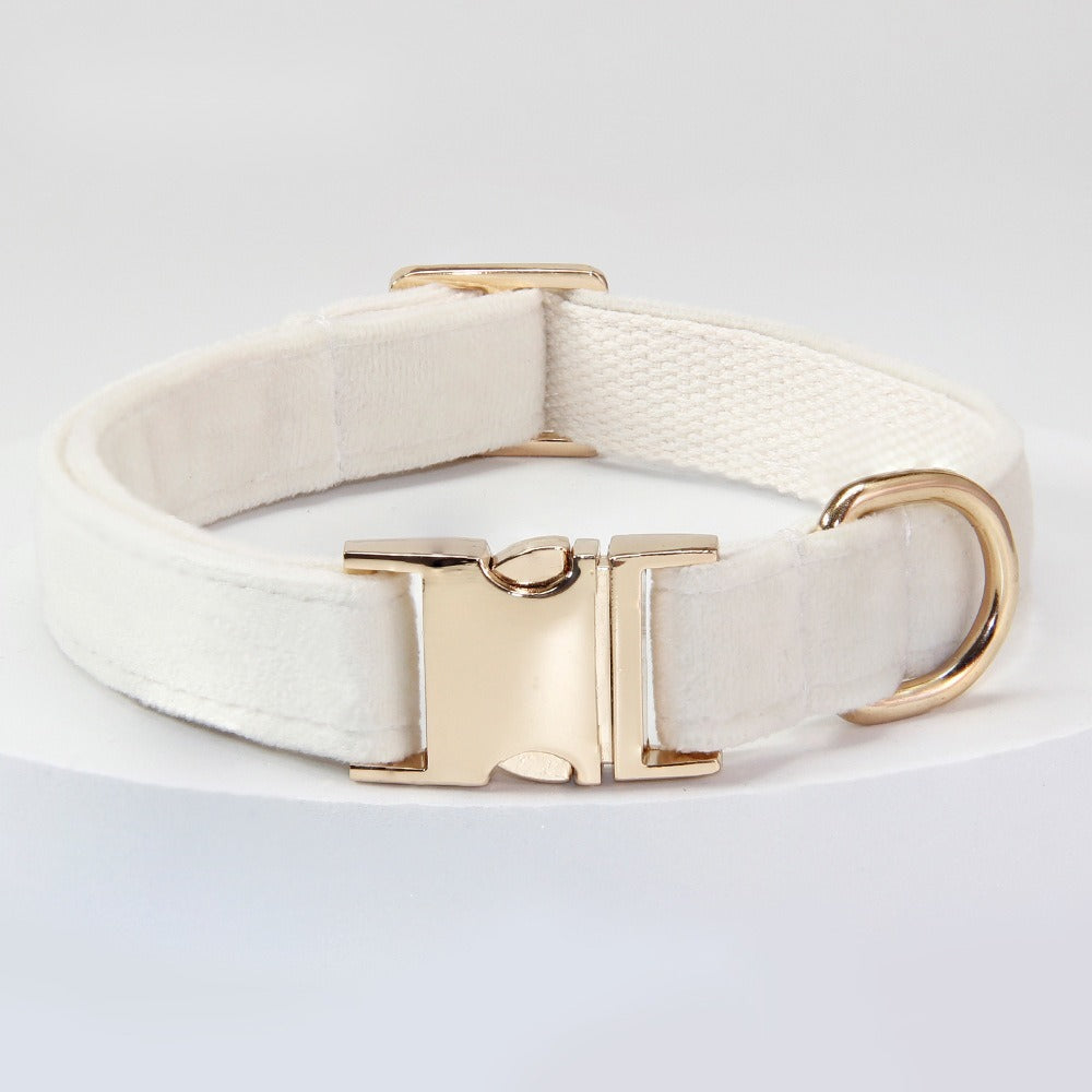 Corde de traction pour chiens moyens et grands