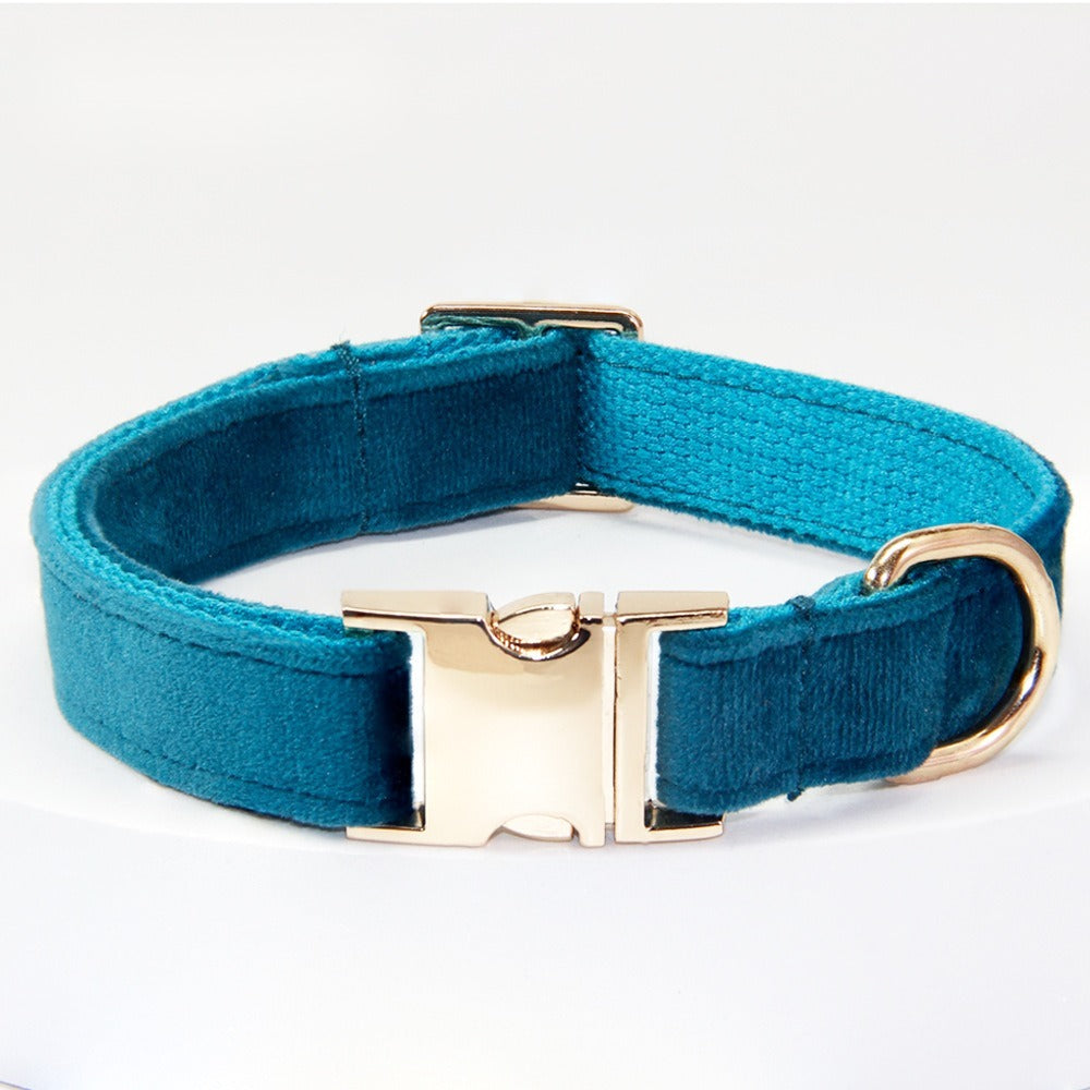 Corde de traction pour chiens moyens et grands