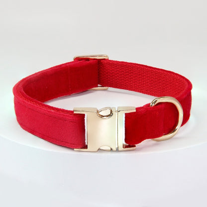 Corde de traction pour chiens moyens et grands