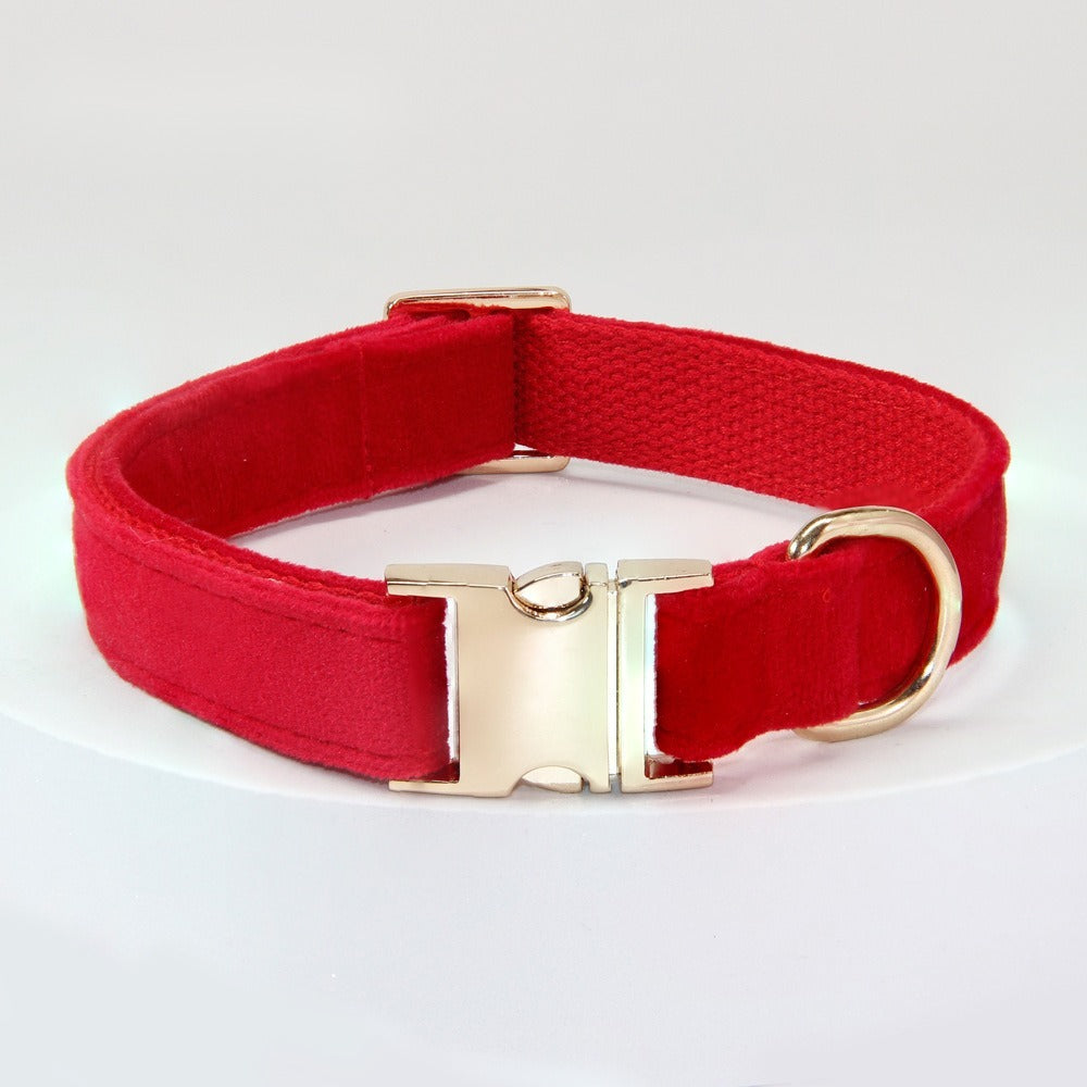 Corde de traction pour chiens moyens et grands