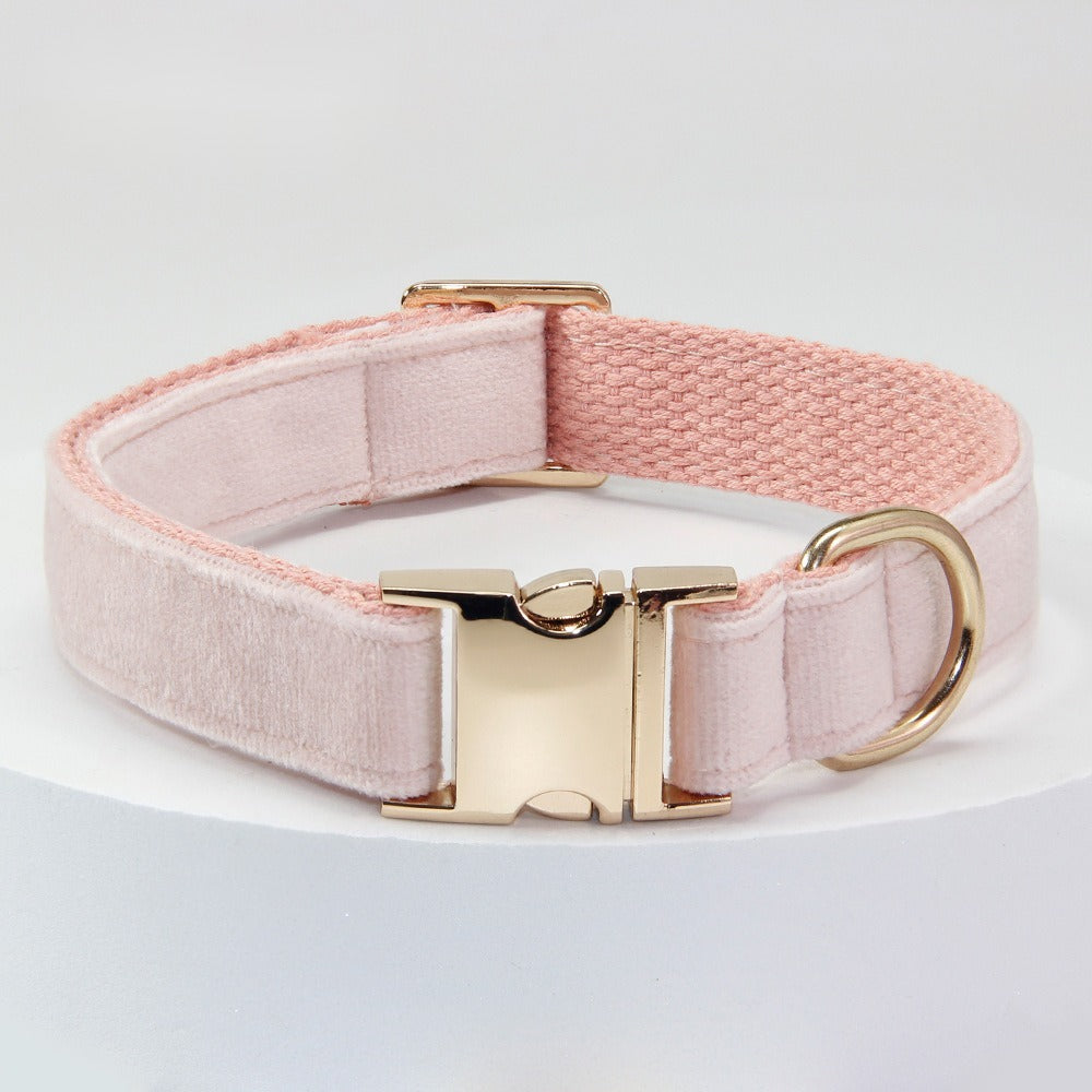 Corde de traction pour chiens moyens et grands