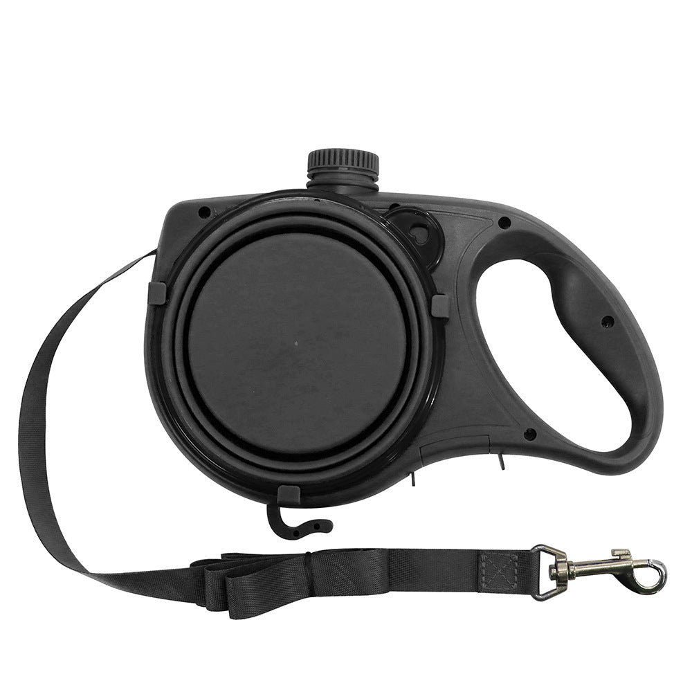 Laisse portable pour chien