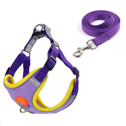 Harnais et laisse pour chien
