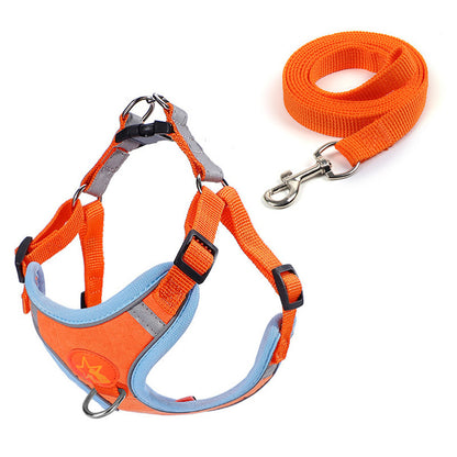 Harnais et laisse pour chien