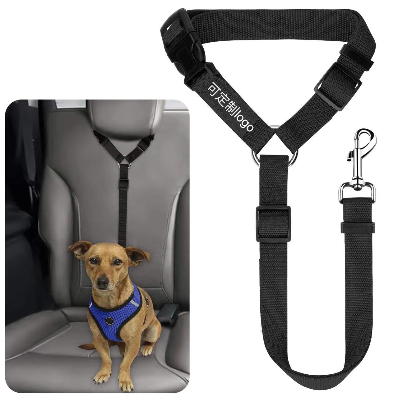 Ceinture de sécurité pour animaux