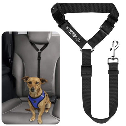 Ceinture de sécurité pour animaux