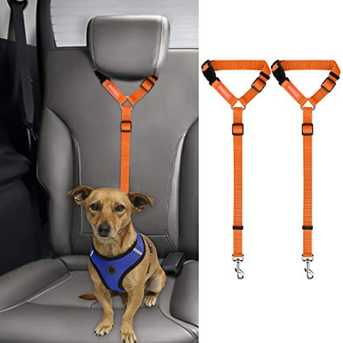 Ceinture de sécurité pour animaux