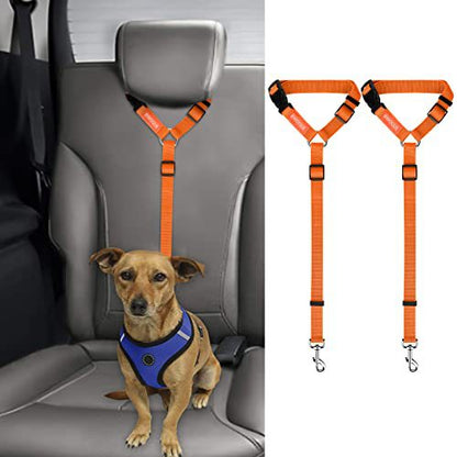 Ceinture de sécurité pour animaux