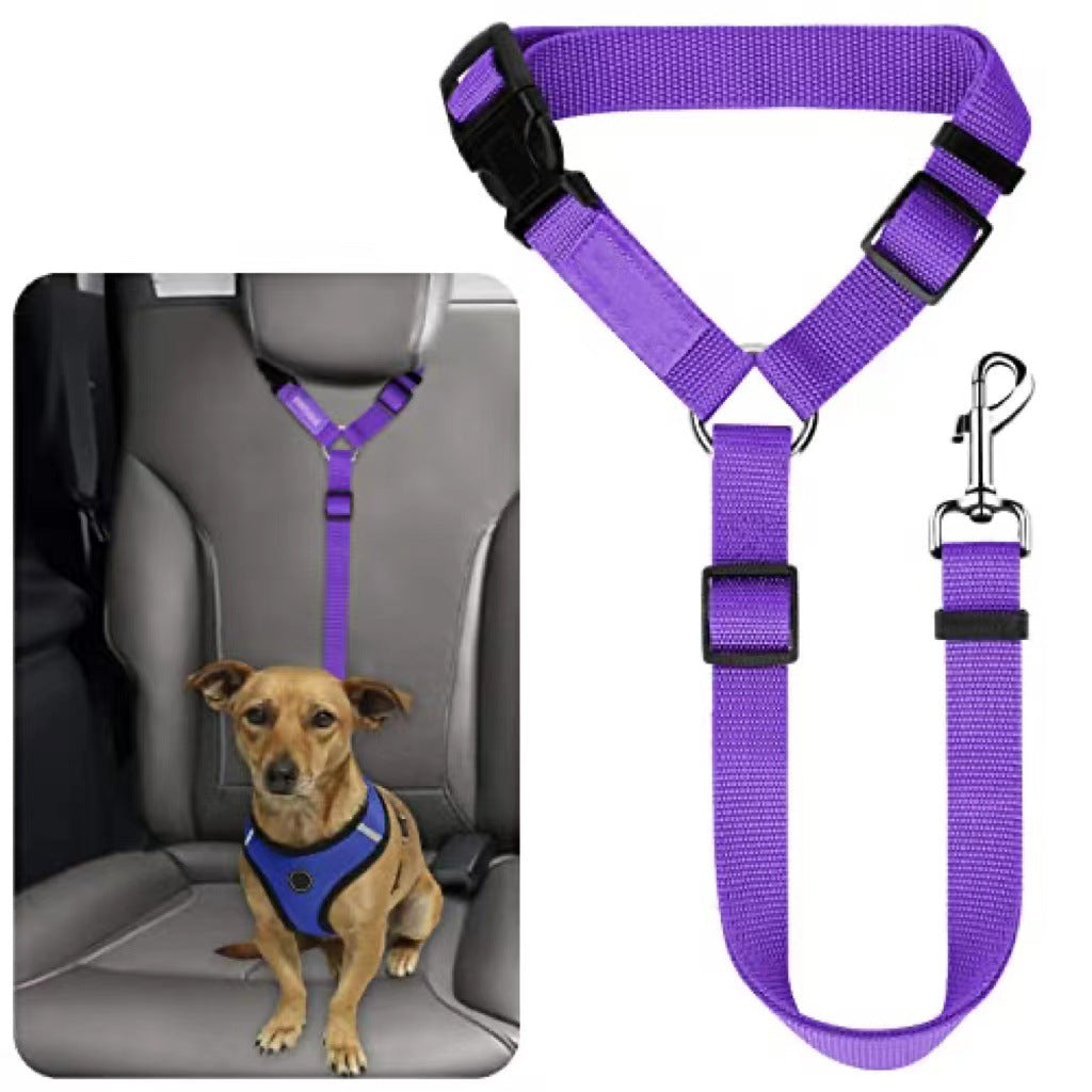 Ceinture de sécurité pour animaux