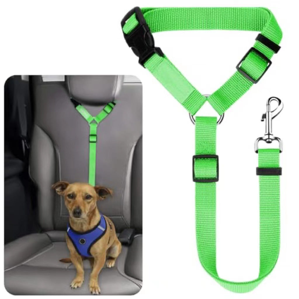 Ceinture de sécurité pour animaux