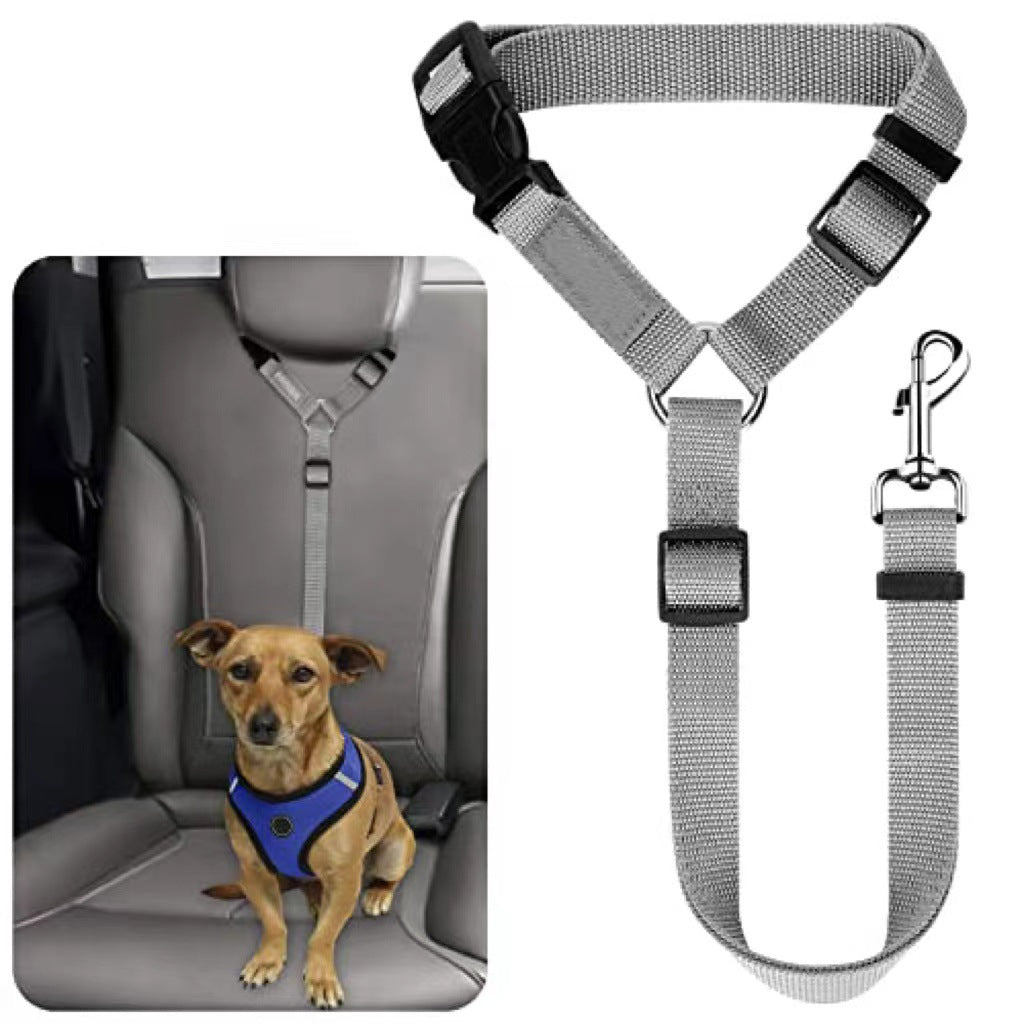 Ceinture de sécurité pour animaux