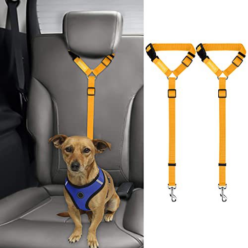 Ceinture de sécurité pour animaux