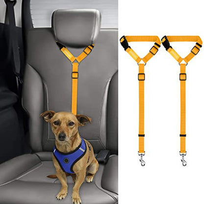 Ceinture de sécurité pour animaux
