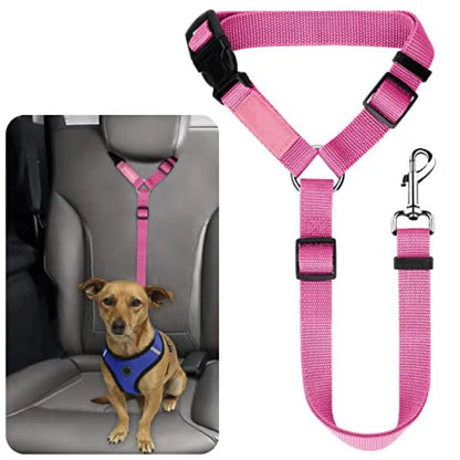 Ceinture de sécurité pour animaux