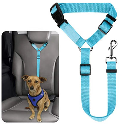 Ceinture de sécurité pour animaux