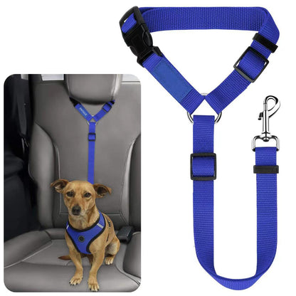 Ceinture de sécurité pour animaux