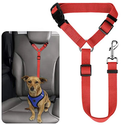Ceinture de sécurité pour animaux