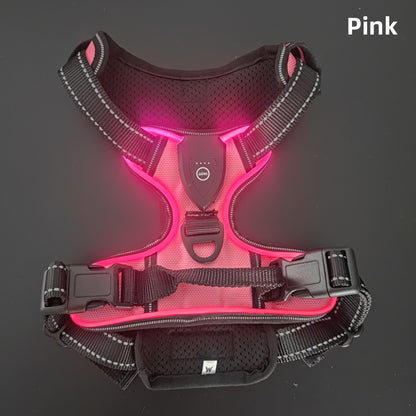 Gilet scintillant pour chien
