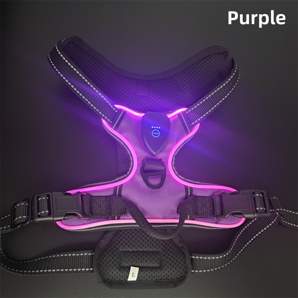 Gilet scintillant pour chien