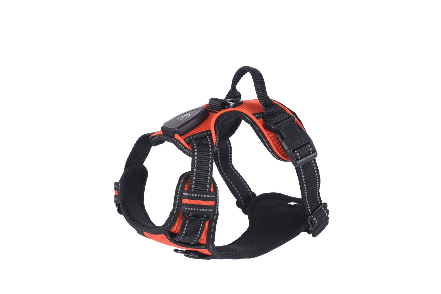 Gilet scintillant pour chien