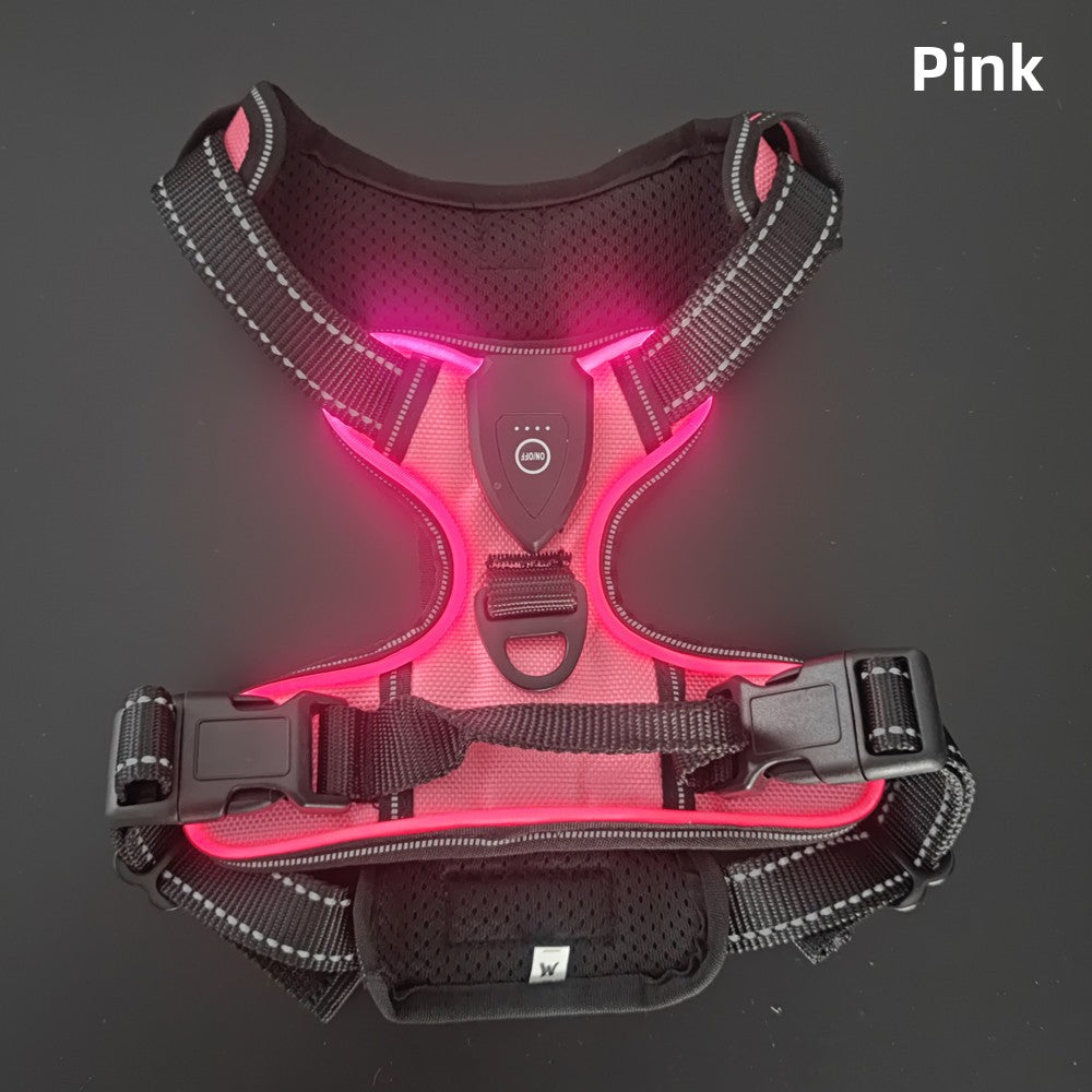 Gilet scintillant pour chien